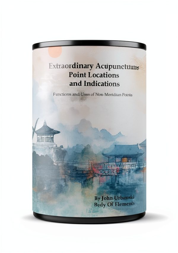 Acupuncture Guide for Beginners by Body Of Elements Kindle eBook-0