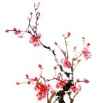 Acupuncture and Acupressure Guide for Beginners-0