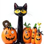 Pete the Cat Halloween Kindle Book by HarperCollins Preschool 32‑Page-0